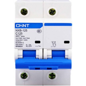 Автоматический выключатель CHINT NXB-125 2 полюса 100 A тип C 10кА